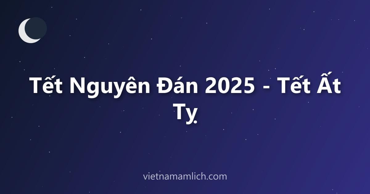 Tết Nguyên Đán 2025 - Tết Ất Tỵ